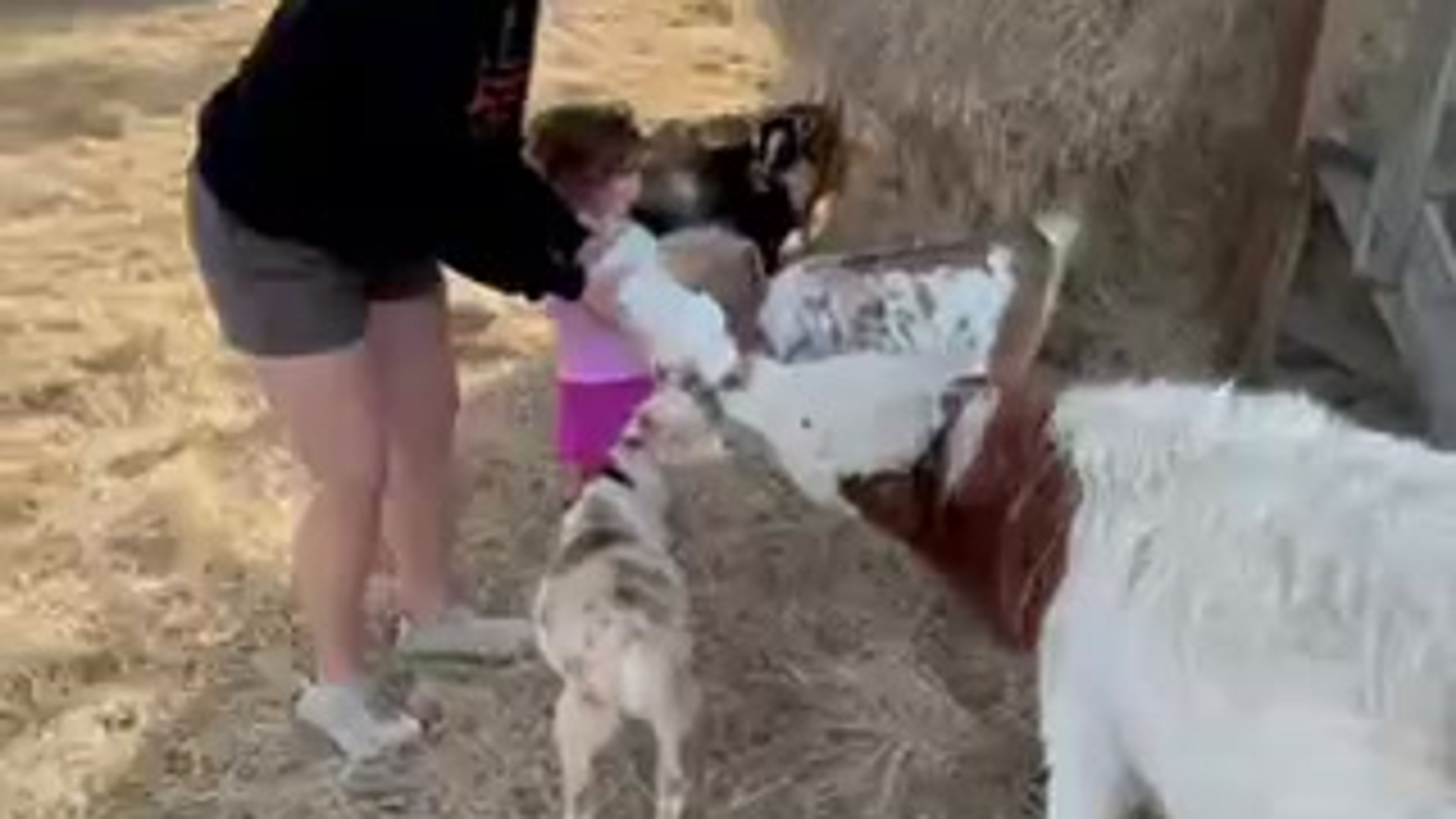 Hartland Oaks Sanctuary Web Video